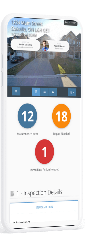 Our Spectora reports can be viewed on any device!